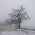 Nové titulní foto pro Facebook Milevských novin je od fotografa Petra Lívance