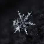 Nové titulní foto pro Facebook Milevských novin je od fotografa Petra Lívance