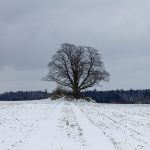 Nové titulní foto pro Facebook Milevských novin je od fotografa Petra Lívance