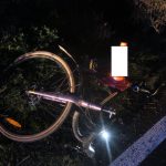 Přibývá střetů s lesní zvěří. Dvě středeční nehody si vyžádaly zranění