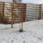 Stromy u sáňkovacích kopců na táborském sídlišti rodiče nenadchly