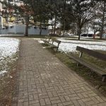 Stromy u sáňkovacích kopců na táborském sídlišti rodiče nenadchly