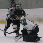 Hokej: Letos bez poháru. Loňský finalista z Hluboké vypadl, vedl jen chvíli  