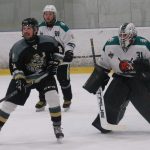 Hokej: Letos bez poháru. Loňský finalista z Hluboké vypadl, vedl jen chvíli  