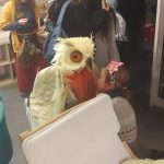 Tradici masopustu v Písku udržuje Základní škola Svobodná