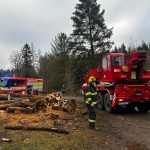 Hasiči pomáhají v Noskově se zvednutím koně