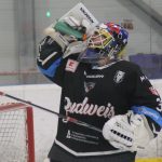 Hokej: Ostravská radost po nájezdech. Oslabení stála Black Dogs body