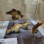 Bechyňská keramika ovládla gotický sál. Vernisáž propojila vzácné exponáty se vzpomínkami pamětníků