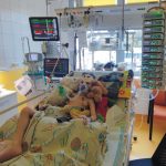 Martínek Kováč z Hrejkovic bojuje se zákeřnou nemocí. Plánuje uspořádat výstavu sestav Lega, které sám poskládal během léčby