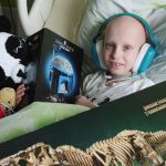 Martínek Kováč z Hrejkovic bojuje se zákeřnou nemocí. Plánuje uspořádat výstavu sestav Lega, které sám poskládal během léčby