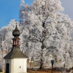 Autorkou fota měsíce března na Facebooku Táborska je Alena Krupová