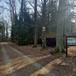 VÝLETY: Tajemná krajina a ticho rašeliniště na Červeném blatě