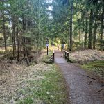 VÝLETY: Tajemná krajina a ticho rašeliniště na Červeném blatě