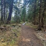 VÝLETY: Tajemná krajina a ticho rašeliniště na Červeném blatě