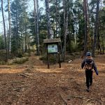 VÝLETY: Tajemná krajina a ticho rašeliniště na Červeném blatě