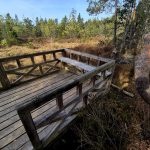 VÝLETY: Tajemná krajina a ticho rašeliniště na Červeném blatě