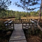 VÝLETY: Tajemná krajina a ticho rašeliniště na Červeném blatě