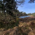 VÝLETY: Tajemná krajina a ticho rašeliniště na Červeném blatě