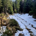 VÝLETY: Z Pohoří na Šumavě podél hranice na nejvyšší bod Novohradských hor