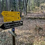 VÝLETY: Z Pohoří na Šumavě podél hranice na nejvyšší bod Novohradských hor