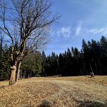 VÝLETY: Z Pohoří na Šumavě podél hranice na nejvyšší bod Novohradských hor