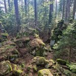 VÝLETY: Z Pohoří na Šumavě podél hranice na nejvyšší bod Novohradských hor