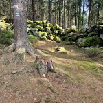 VÝLETY: Z Pohoří na Šumavě podél hranice na nejvyšší bod Novohradských hor