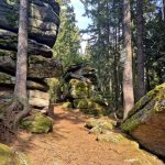 VÝLETY: Z Pohoří na Šumavě podél hranice na nejvyšší bod Novohradských hor