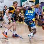 Písečtí Sršni zahájili čtyřzápasovou domácí sérii prohrou