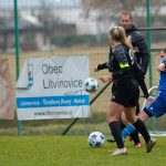 4. liga žen: Domažlice padly po červené a Mokré je stále neporaženo