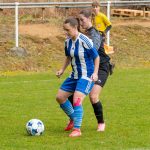 4. liga žen: Domažlice padly po červené a Mokré je stále neporaženo