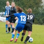 4. liga žen: Domažlice padly po červené a Mokré je stále neporaženo