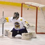 Střelci zpacifikováni! Strakonice postoupily do finále v nejkratším možném čase