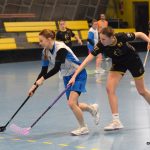 Písecké florbalistky si v domácím prostředí připsaly jednu výhru