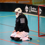 Florbal: Milevské céčko mělo povedený start, pak přišla gólová smršť soupeře