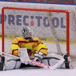 Hokej: To ale byla jízda. Trenér je po sezoně na hráče pyšný, Motor došel do semifinále