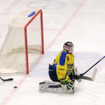 Konec se vztyčenou hlavou! Hokejisté Milevska padli v prodloužení, dál jde Příbram