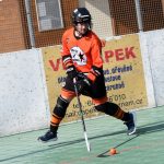 Švantlák se bodově dotáhl na třetí Hradec