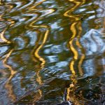 Snímky měsíce na Facebook Jindřichohradecka přišly ze Suchdola nad Lužnicí