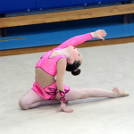 Bernartické gymnastky uspořádaly poslední závod Jihočeské ligy