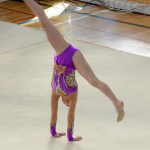 Bernartické gymnastky uspořádaly poslední závod Jihočeské ligy