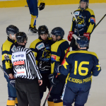 Hokej: Juniorka Milevska nebodovala, s Kobrou nepomohla ani power play