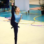 Milevský pohár v moderní gymnastice napsal svou 35. kapitolu, doma zůstaly i medaile