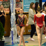 Milevský pohár v moderní gymnastice napsal svou 35. kapitolu, doma zůstaly i medaile