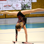 Milevský pohár v moderní gymnastice napsal svou 35. kapitolu, doma zůstaly i medaile