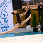 Milevský pohár v moderní gymnastice napsal svou 35. kapitolu, doma zůstaly i medaile