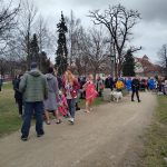 Otužilci skočili do Vltavy, aby pomohli rodinám dětí s postižením. Čekal jsem to horší, řekl jeden z nováčků