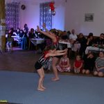 VIDEO: Tučapské gymnastky předvedly své umění na již jedenáctém plesu