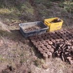 Pyrotechnici vykopali v lese u Albrechtic na Písecku přes 300 granátů