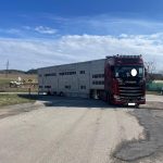 Cizinec převážel skot napříč Evropou s poškozeným přívěsem, kterému chybělo kolo